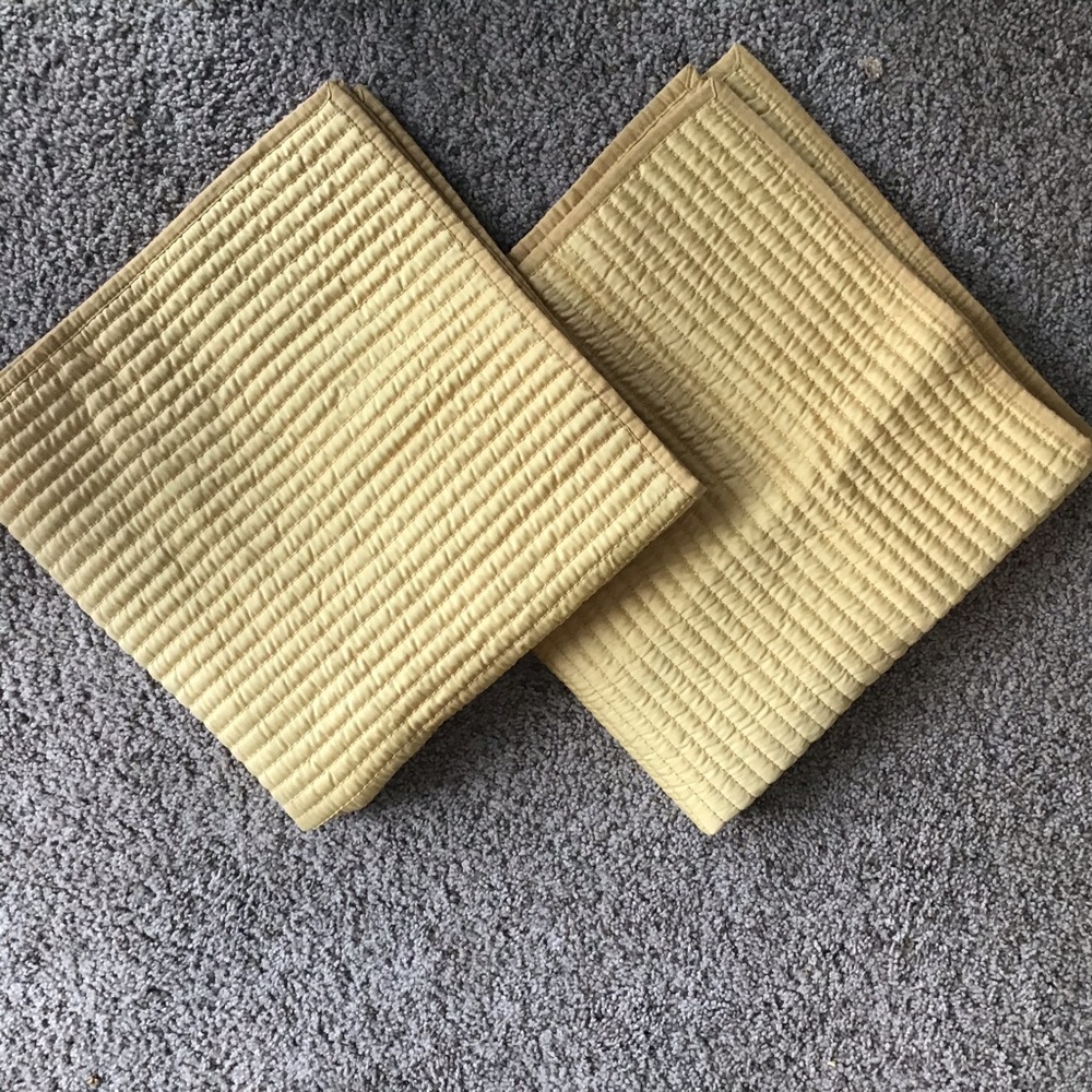 Two West Elm Euro Shams